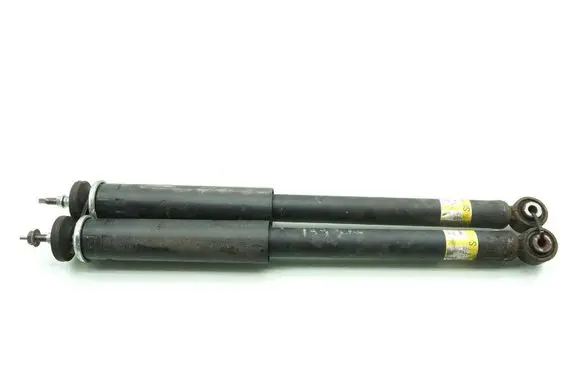 Suzuki Swift IV Rear shock absorber/damper 41810-70T00