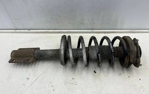 Fiat Ducato Front shock absorber with coil spring 