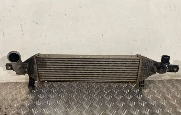Nissan Qashqai Intercooler radiator Y8396005 14461BB50B