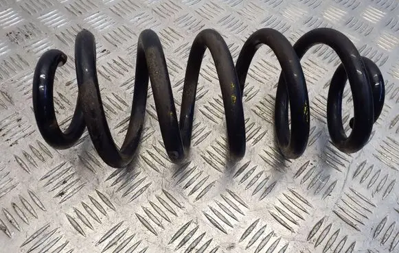 Nissan Qashqai Rear coil spring 550204EA5B