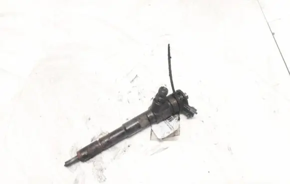 Renault Kangoo II Fuel injector 0445110485 H8201108033