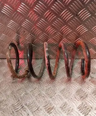 Front coil spring