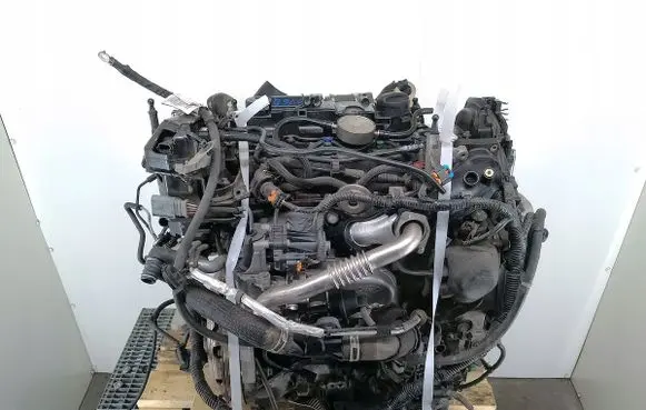 Ford Transit VII Engine XUGAGV6Q-6007-AA