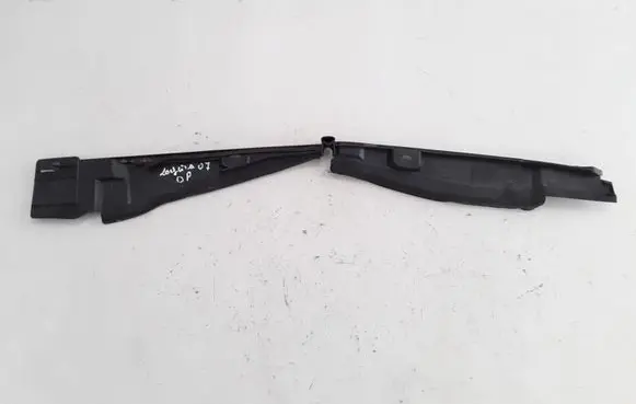 Engine bonnet/hood lock trim molding