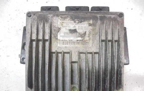 Engine control unit/module ECU