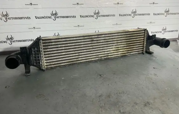 Mercedes-Benz B W246 W242 Intercooler radiator A2465000900