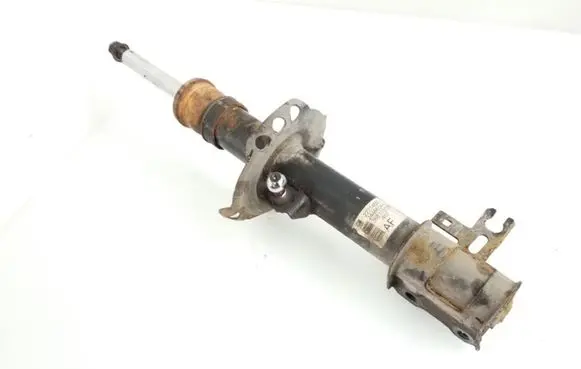 Opel Astra H Front shock absorber/damper 22214603