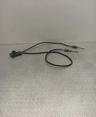 Peugeot 3008 II Exhaust gas temperature sensor 9812376480 1CD307200