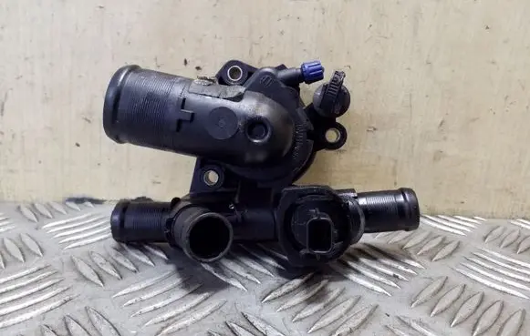 Thermostat/thermostat housing