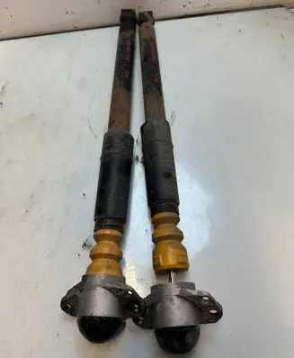 Skoda Roomster (5J) Rear shock absorber/damper 46534534