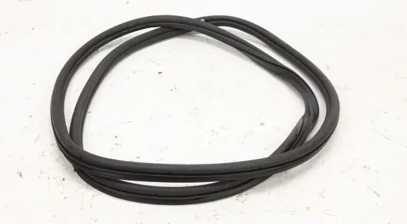 Volkswagen Golf VIII Rubber seal front door (on door) 