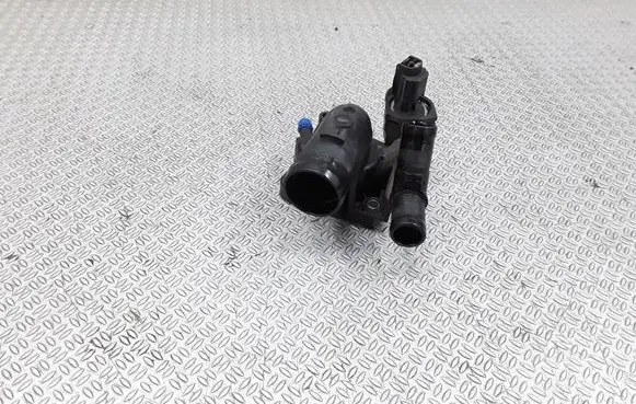 Thermostat/thermostat housing