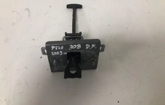 Peugeot 308 Front door check strap stopper