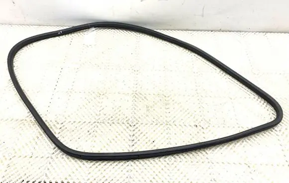 Citroen DS5 Rubber seal front door (on door) 