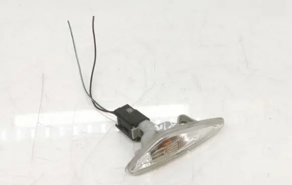 Front fender indicator light