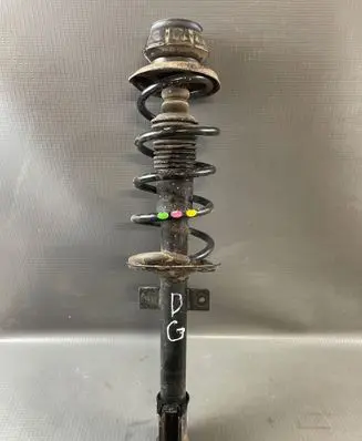 Dacia Duster II Rear shock absorber with coil spring 562107298R 8200876298
