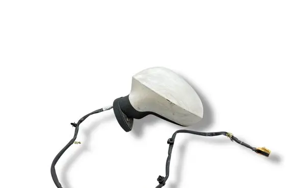 Seat Exeo (3R) Front door electric wing mirror E9034456 E9024456