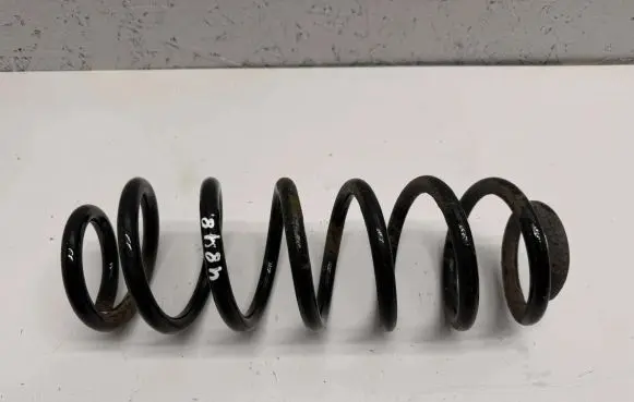 Volkswagen PASSAT B6 Rear coil spring