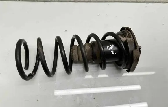 Rear coil spring