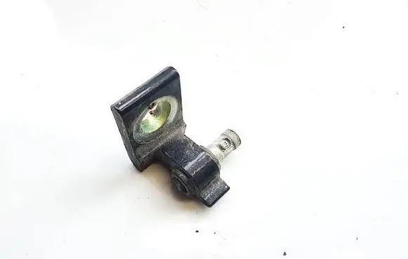 Skoda Yeti (5L) Rear door lower hinge