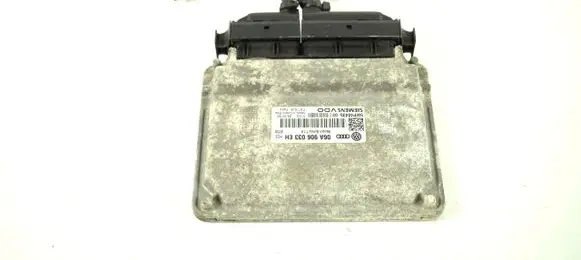 Engine control unit/module ECU