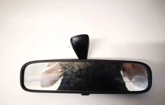 Hyundai Santa Fe Rear view mirror (interior) e4012143
