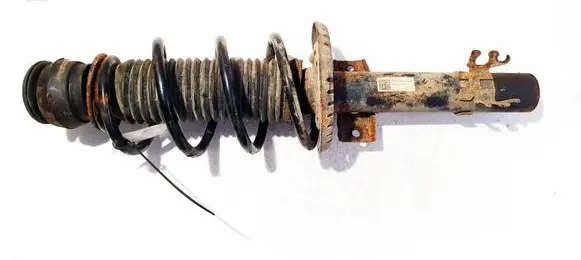 Seat Ibiza IV (6J,6P) Front shock absorber/damper 6R0413031F