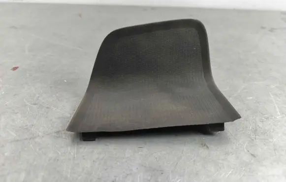 Other rear door trim element