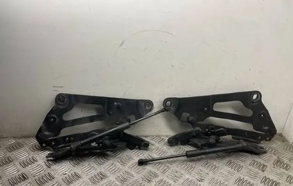 BMW 5 GT F07 Engine bonnet/hood hinges 7046324 7046323