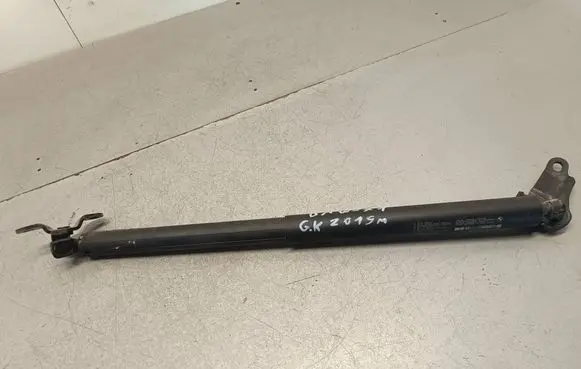 Tailgate/trunk strut/damper