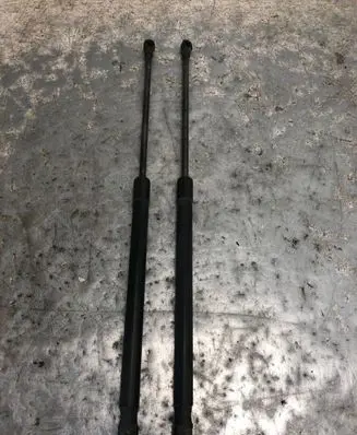 Tailgate/trunk strut/damper