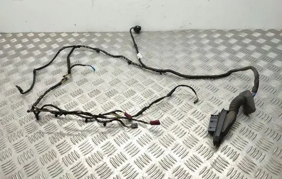 Rear door wiring loom