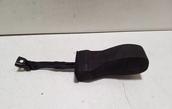 Volkswagen PASSAT B8 Front door check strap stopper 3G0837249E 3G0837267