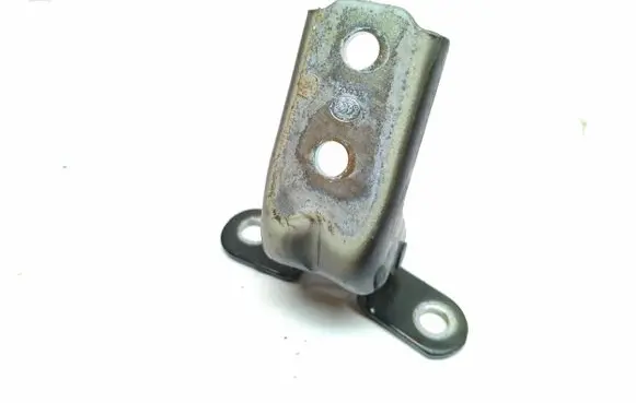 KIA Stinger Front door lower hinge 