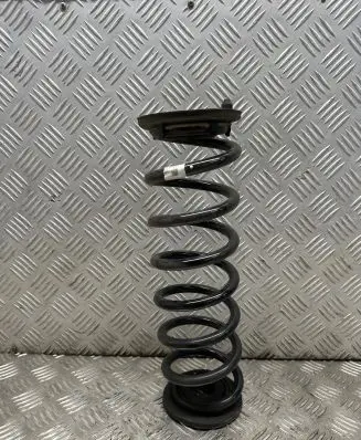 Volkswagen Tiguan Rear coil spring 5qs511103m