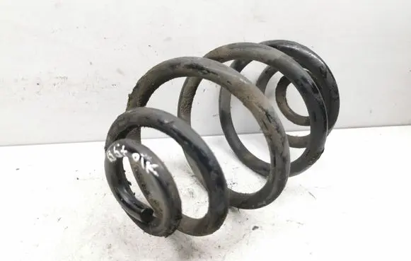 Volkswagen PASSAT B5.5 Rear coil spring