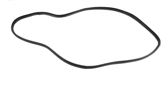 KIA EV6 Rubber seal front coupe door 