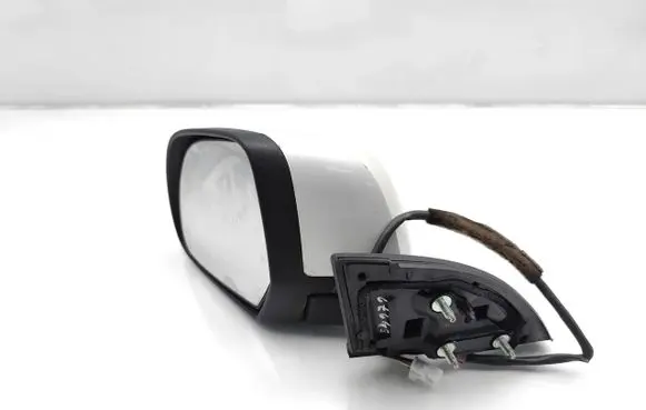 Nissan Leaf I (ZE0) Front door electric wing mirror E11028058