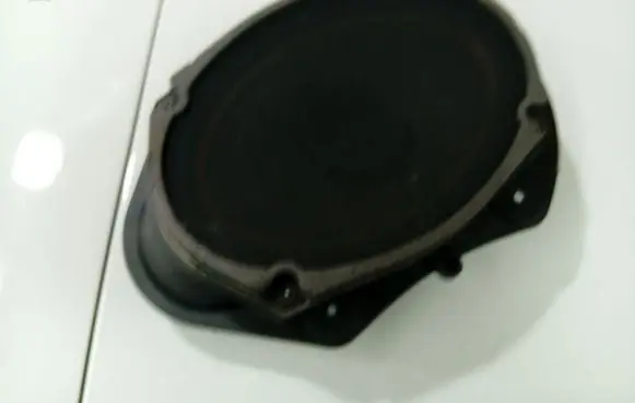 Chrysler 300 - 300C Front door speaker 