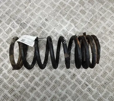 Rear coil spring