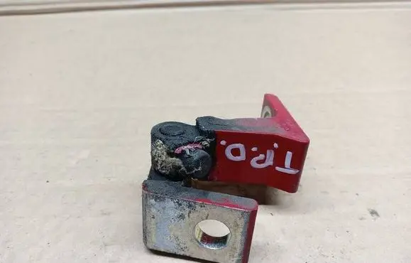 Rear door lower hinge