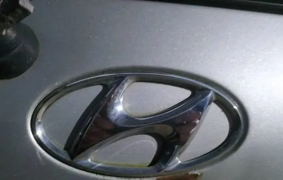 Manufacturer badge logo/emblem