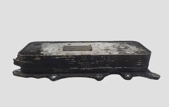 Jeep Grand Cherokee (WK) Engine oil radiator A6421800165 101181201282