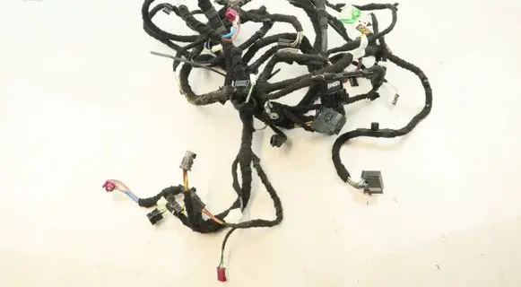 BMW X7 G07 Panel wiring E4J809 11706110 35607861