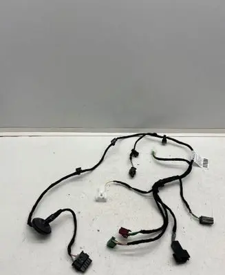 Front door wiring loom