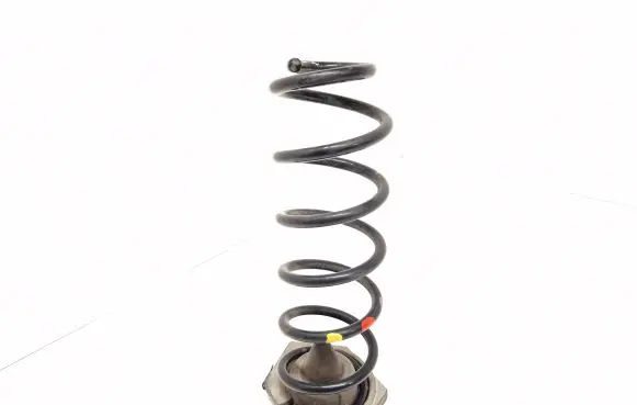Renault Megane IV Rear coil spring