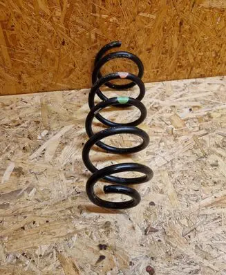 Rear coil spring
