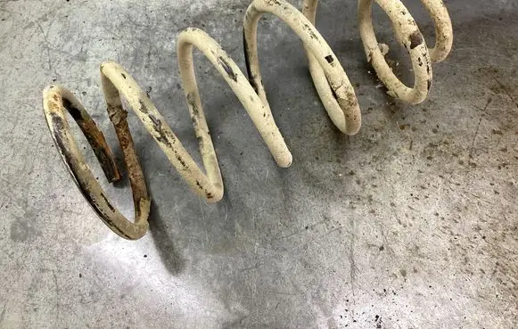 Rear coil spring