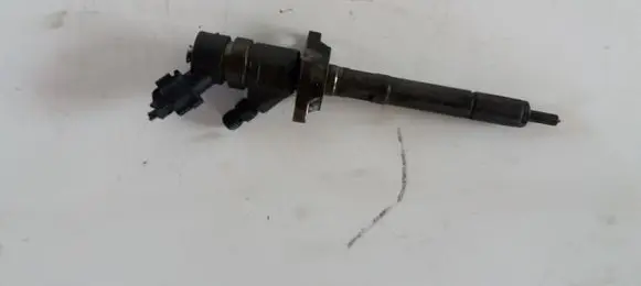Citroen Berlingo Fuel injector 0445110239