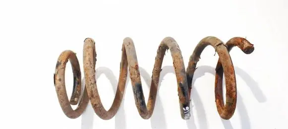 Hyundai Santa Fe Rear coil spring